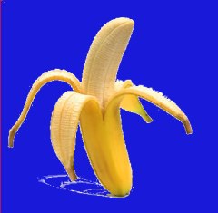 Banane sur fond bleu